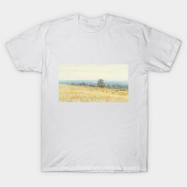 Wheat Field T-Shirt by Islanr